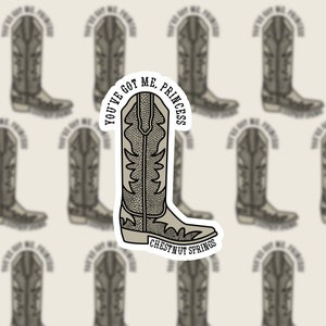 Chestnut Springs Sticker, Rhett Eaton, Flawless, Elsie Silver, Wishing Well Ranch, Cowboy Romance, Kindle Stickers, Booktok, Bookish