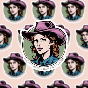 Chestnut Springs Sticker, Cade Eaton, Elsie Silver, Wishing Well Ranch, Cowboy Romance, Kindle Stickers, Heartless, Booktok, Bookish