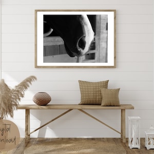 Set of 3 Horse Wall Decor, Horseback Riding Decor, Horse Wall Art, Horseback Riding Quote, Horse Printable Wall Art, Horse Printables
