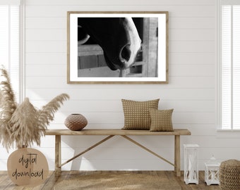 May include: Black and white photograph of a horse's nose, close-up, with the horse's nostrils visible. The horse is in a stable, with wooden beams visible in the background.