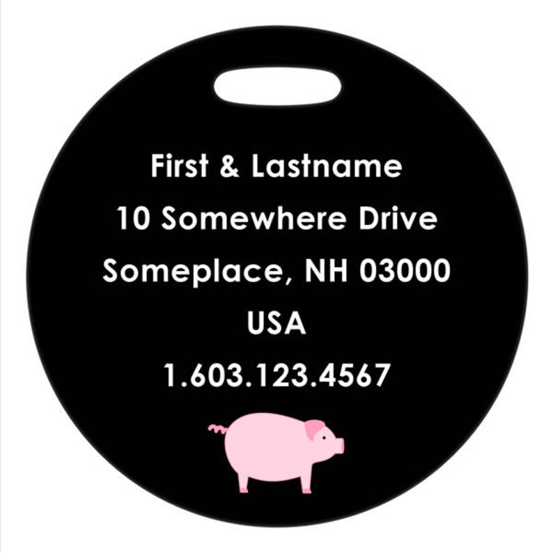 Luggage Tag Piggy 2.5 inch or 4 Inch Round Plastic Bag ID Tag image 2