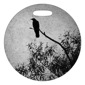 Könnte beinhalten: Eine schwarze Krähe Silhouette auf einem Ast eines Baumes vor einem grauen, strukturierten Hintergrund.