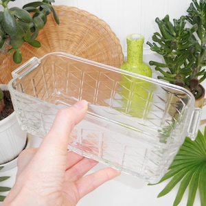 May include: A clear, rectangular glass loaf pan with a basketweave pattern. The pan has two small handles on the sides. The pan is held in a hand, with plants and a woven basket in the background.