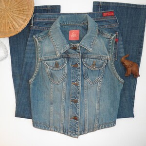 Vintage 1990s LUX 100% Rigid Cotton Vest Urban Outfitters 90's Button Front Jean Whimsigoth Cottagecore Size Small Alexa Sunshine Nostalgia imagem 9