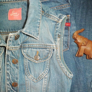 Vintage 1990s LUX 100% Rigid Cotton Vest Urban Outfitters 90's Button Front Jean Whimsigoth Cottagecore Size Small Alexa Sunshine Nostalgia imagem 4