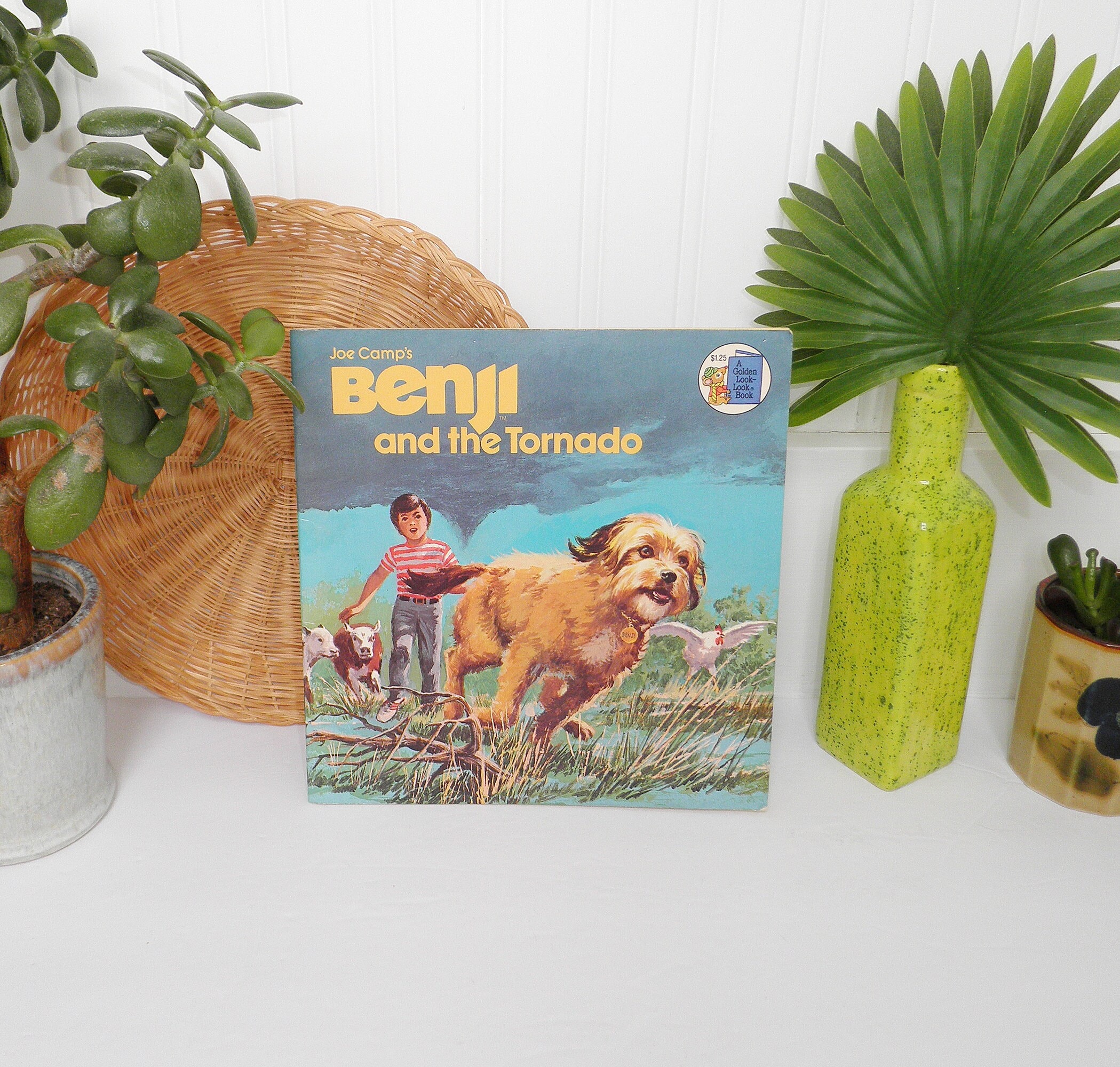 Vintage 1981 Joe Camp's Benji and the Tornado A Golden Look Book