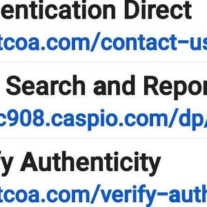 Pu&ograve; includere: Testo su sfondo bianco con "Authentication Direct", "Data Search and Report" e "Verify Authenticity". Ogni riga ha un'icona a forma di globo e un URL corrispondente: directcoa.com/contact-us, c1abc908.caspio.com e directcoa.com/verify-authenticity.