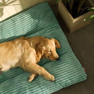 Kuscheliges Hundebett aus weichem Cordstoff und abnehmbarem Bezug Schlafplatz Hund weich Matte Hundematte Cord schlafen Plüsch waschbar Bild 2