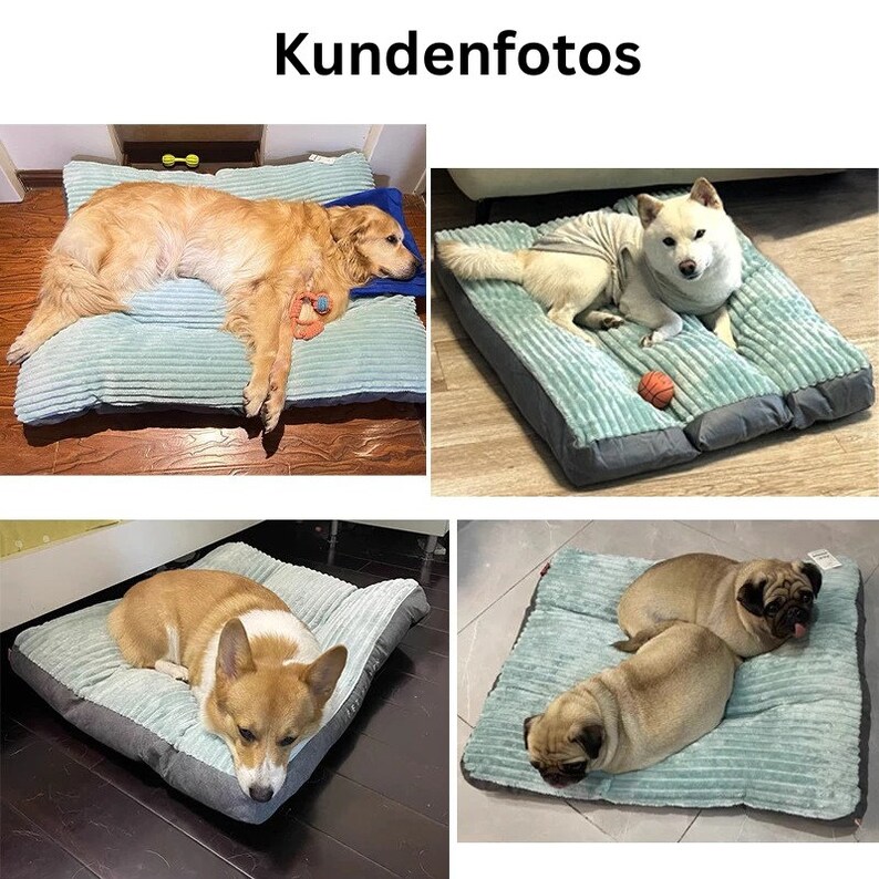 Kuscheliges Hundebett aus weichem Cordstoff und abnehmbarem Bezug Schlafplatz Hund weich Matte Hundematte Cord schlafen Plüsch waschbar Bild 7