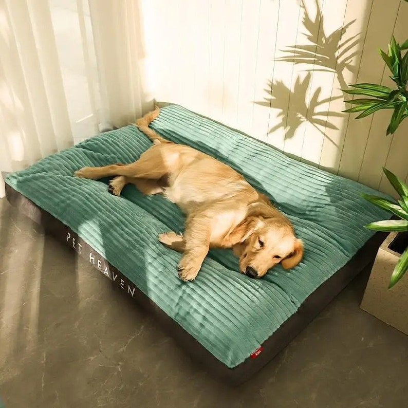 Kuscheliges Hundebett aus weichem Cordstoff und abnehmbarem Bezug Schlafplatz Hund weich Matte Hundematte Cord schlafen Plüsch waschbar Bild 1