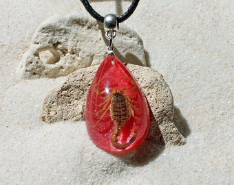 May include: A red teardrop-shaped pendant with a scorpion encased in resin. The pendant is attached to a black leather cord.