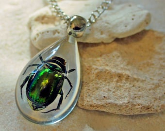 ETERNAL - Scarab Beetle Necklace, Real Bug, Egyptian Amulet, Insect Jewelry, Sacred Symbol, Iridescent, Real Beetle, Teardrop, Personalized