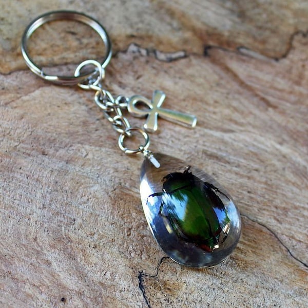 ETERNITY - Real Beetle Key Chain, Green Bug, Silver Ankh, Egyptian Amulet, Insect Jewelry, Sacred Symbol, Scarab Beetle, Teardrop, Gift