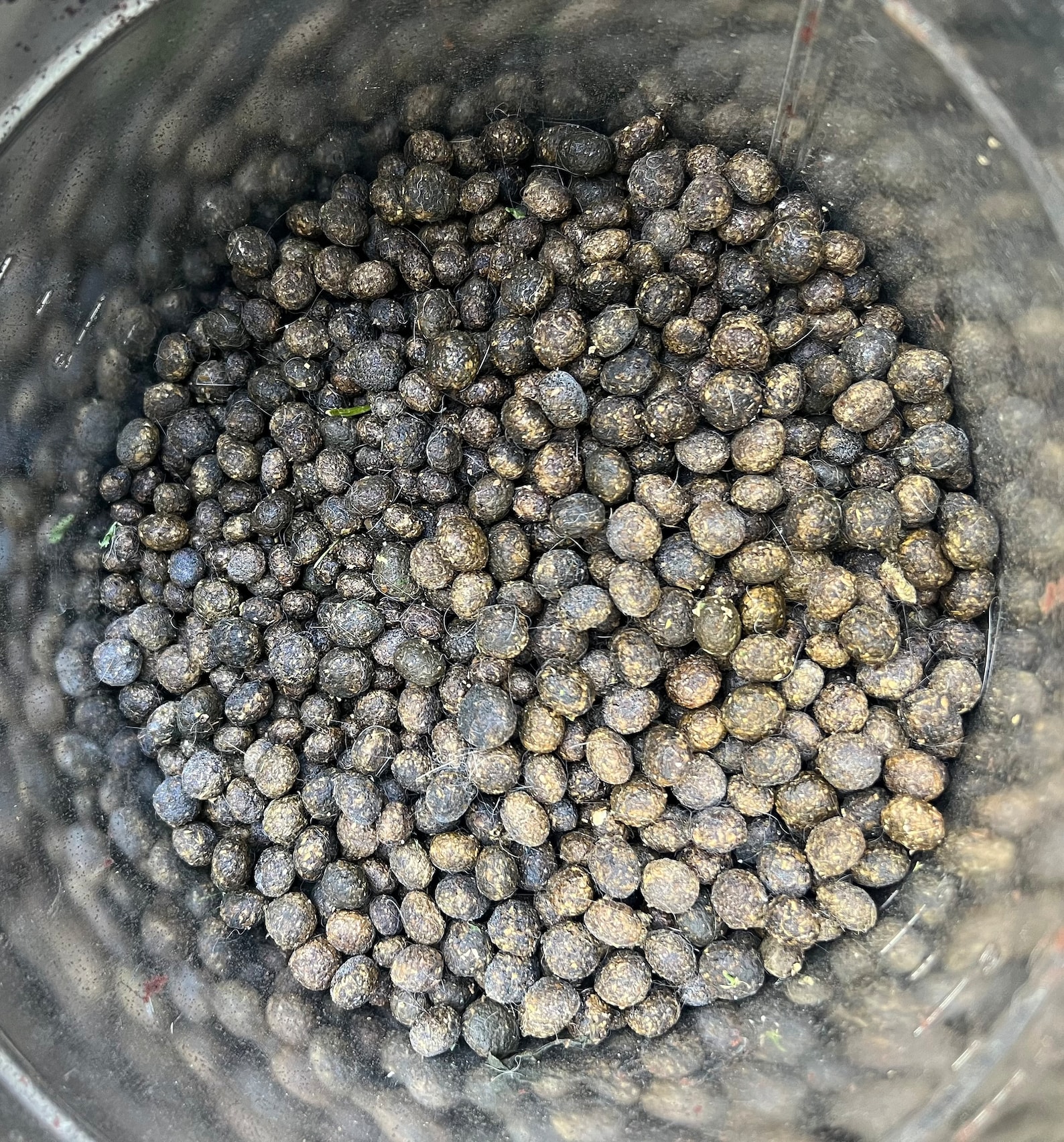 Dried Organic Rabbit Manure Bunny Fertilizer Poop for Your Garden - Etsy