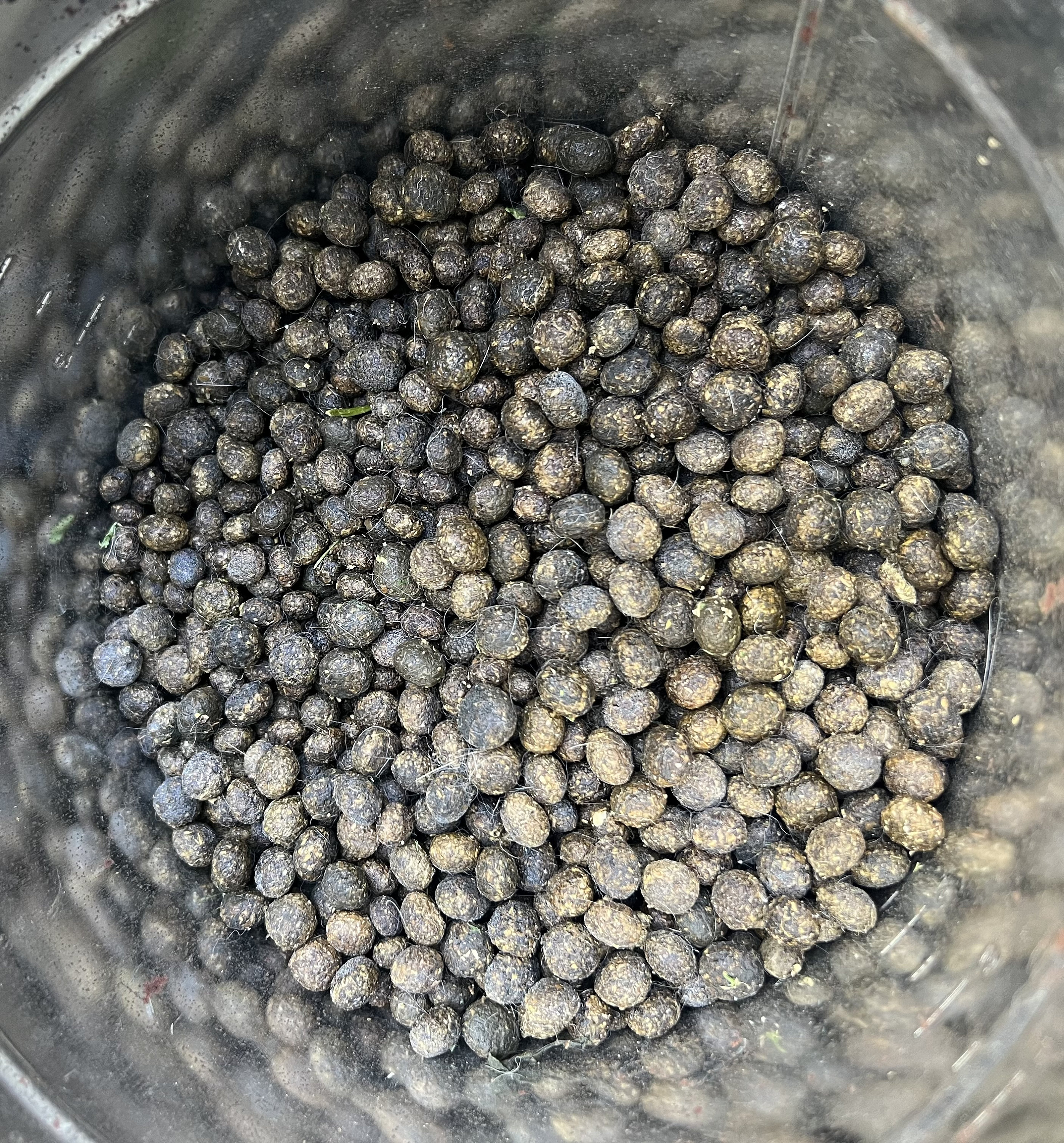 Dried Organic Rabbit Manure Bunny Fertilizer Poop for Your Garden - Etsy