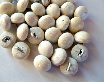Unused Antique Shoe Buttons - Lot of 30