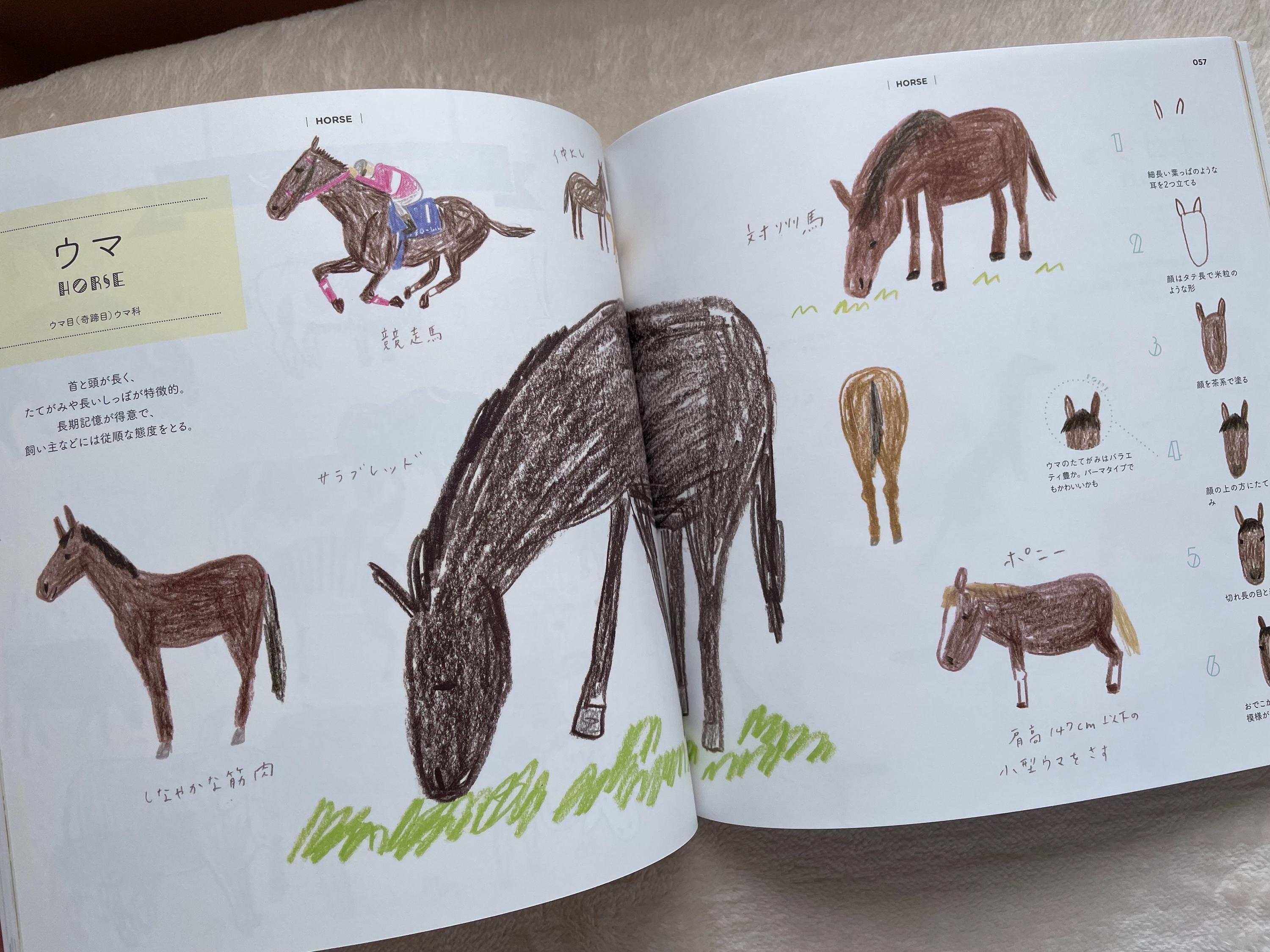 How to Draw Zoo Animals Illustration Lesson Book - Japanese Craft Book ...