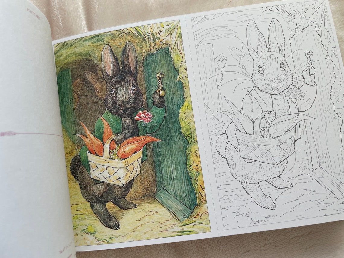 Peter Rabbit Post Peter Rabbit Post Card Size Coloring Book - Japanese Coloring Book - Etsy