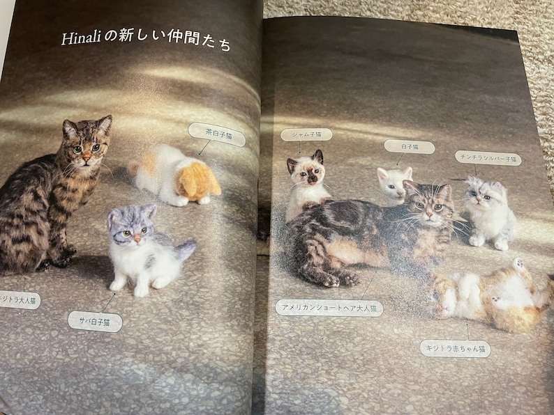 I LOVE to make them mine Needle Felt Realistic KITTENS and CATS Japanese Craft Book image 2