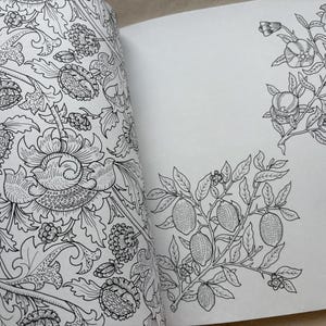 William Morris Coloring Book - Japanese Coloring Book image 3