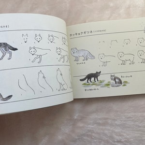How to Draw Animals Illustration Lesson Book - Japanese Craft Book - Etsy