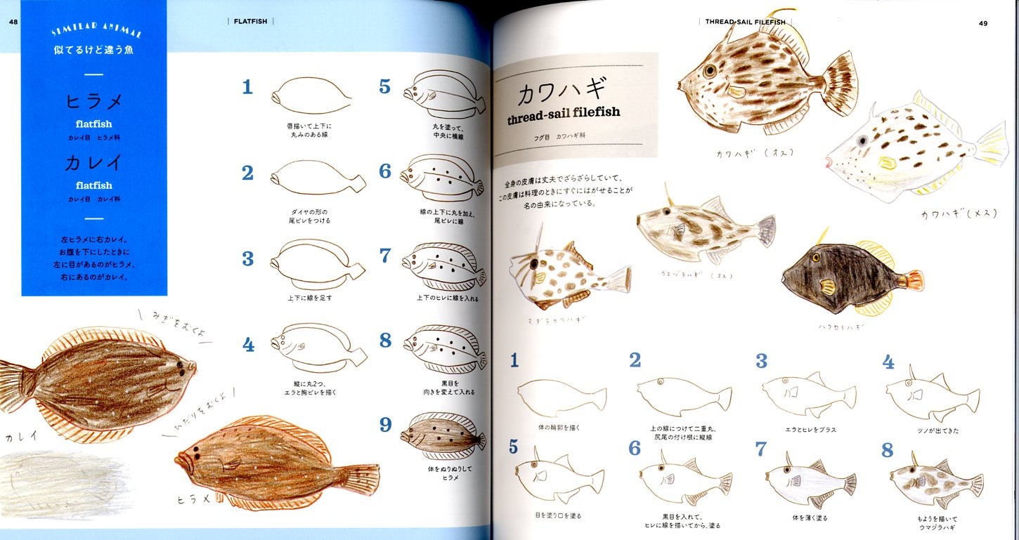 How to Draw Aquarium Animals Illustration Lesson Book - Japanese Craft ...