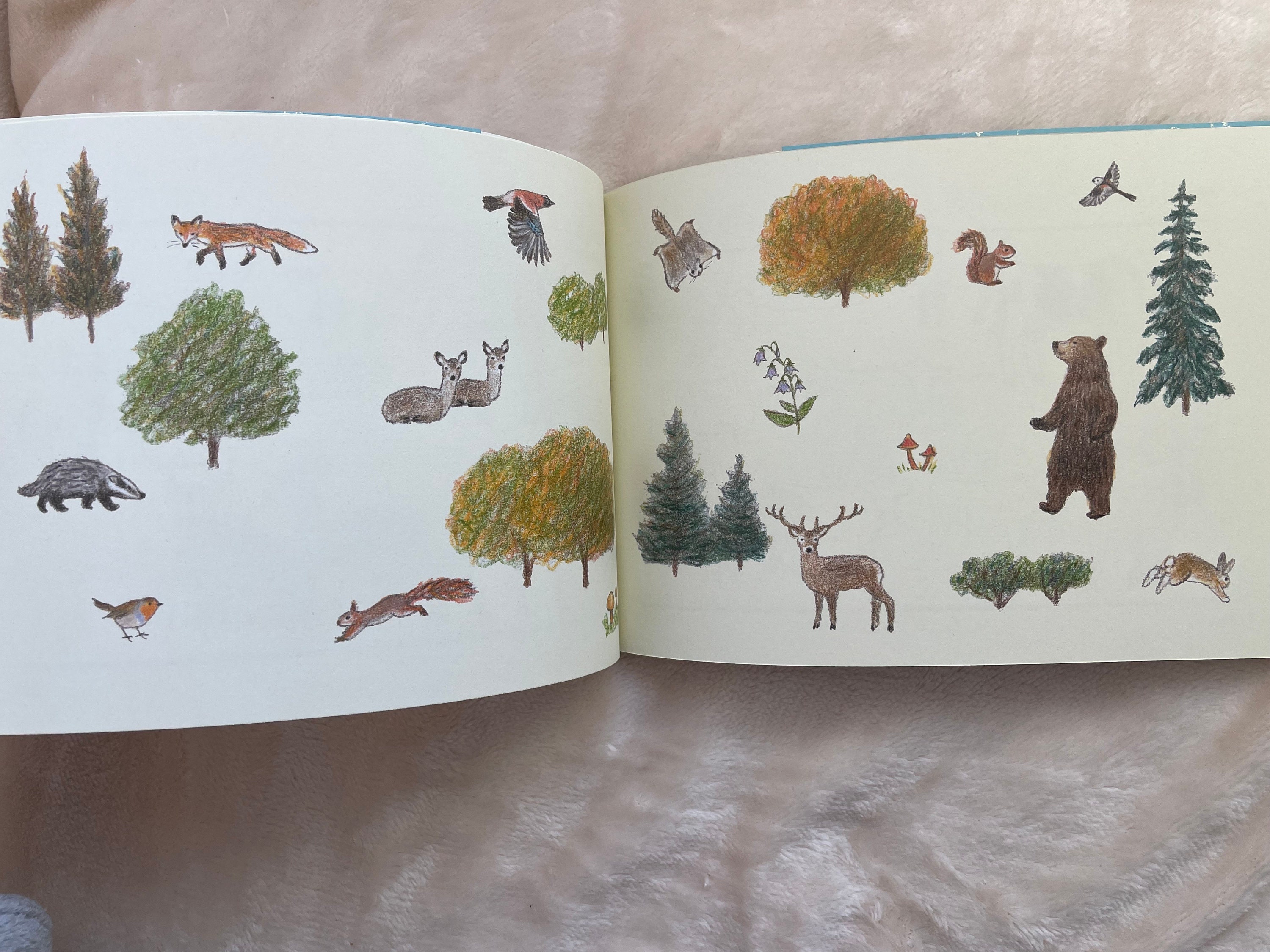 How to Draw Animals Illustration Lesson Book - Japanese Craft Book - Etsy