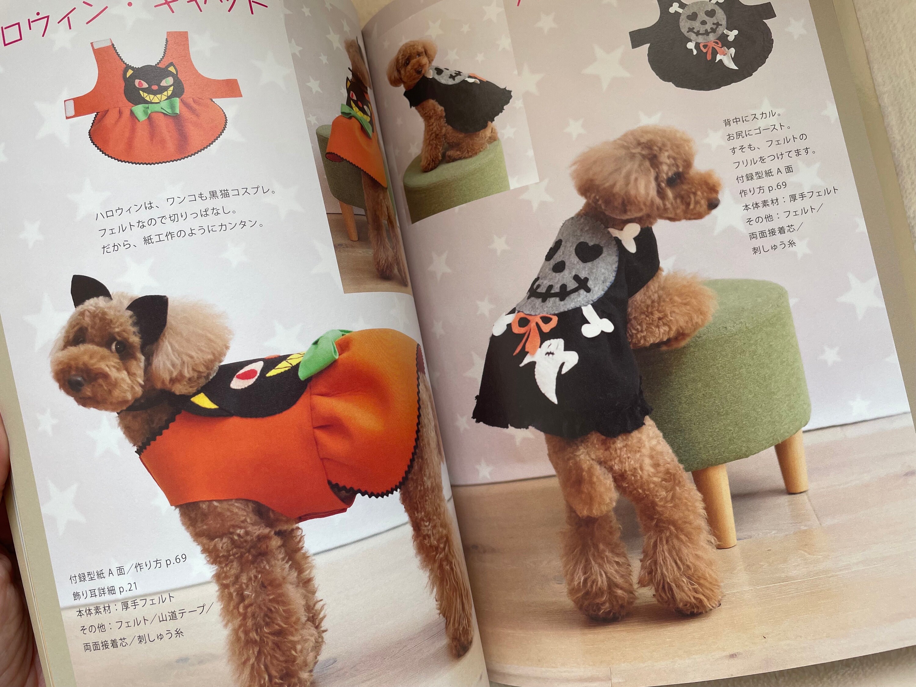 ⭐chopin⭐様専用。羊毛フェルトオーダー。