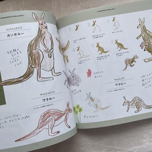 How to Draw Zoo Animals Illustration Lesson Book - Japanese Craft Book ...