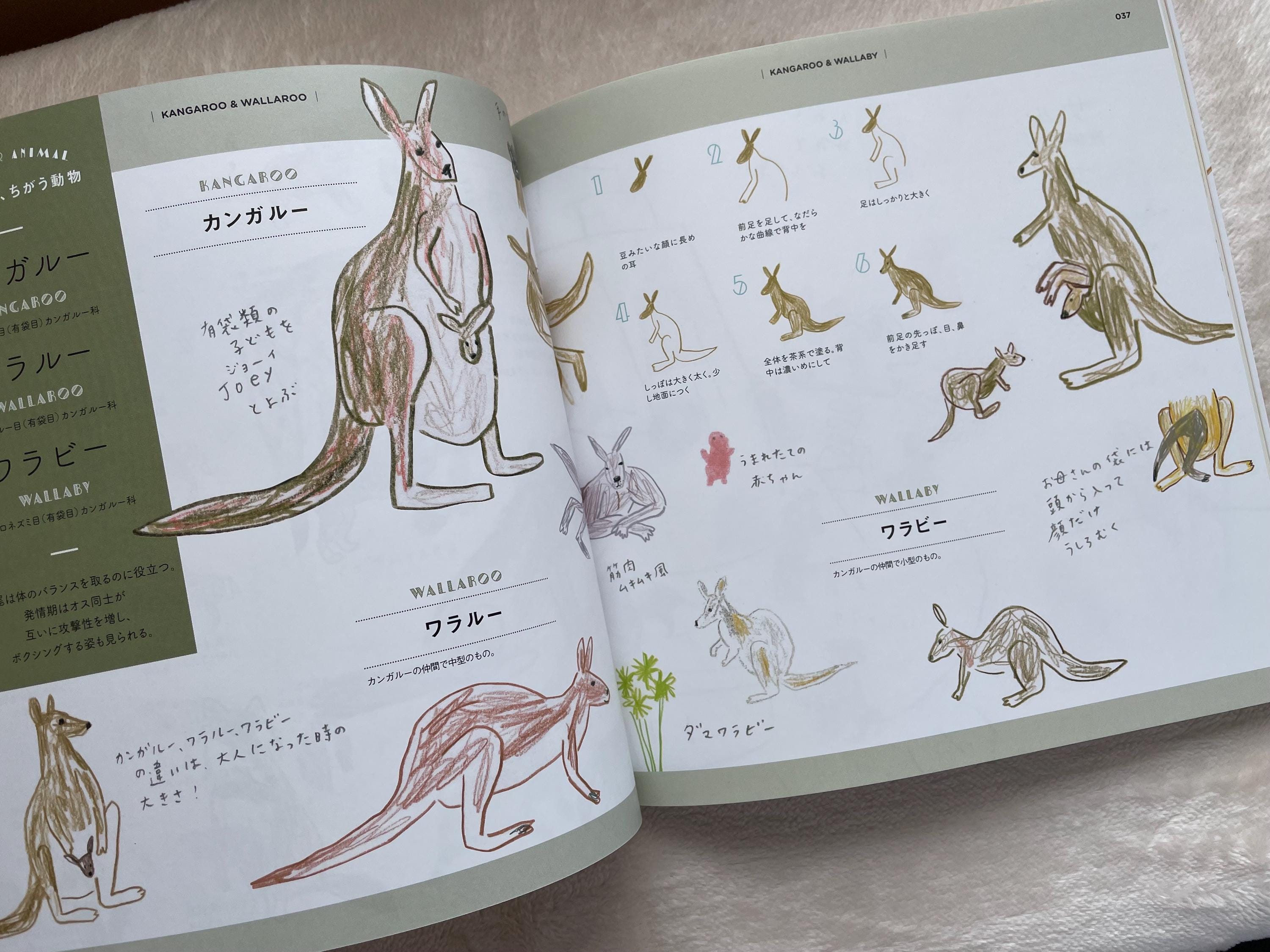 How to Draw Zoo Animals Illustration Lesson Book - Japanese Craft Book ...