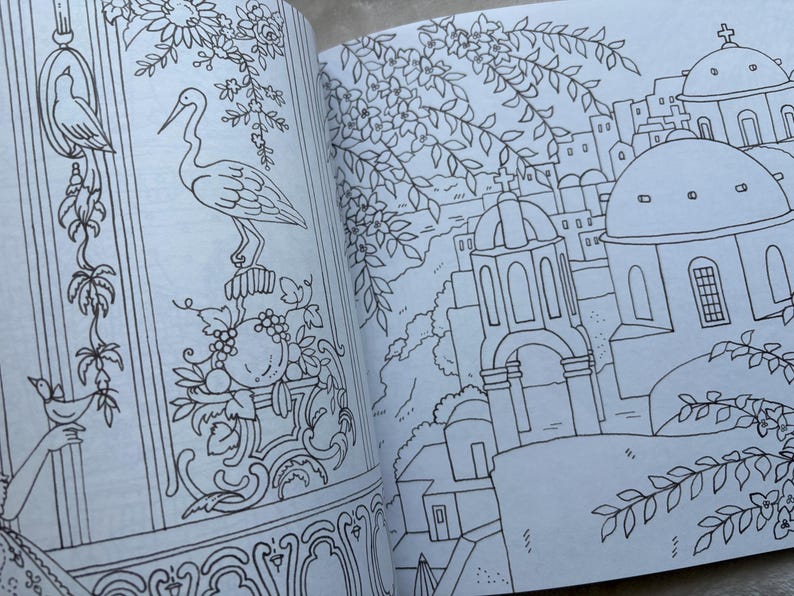 May include: An open coloring book featuring detailed black and white illustrations. One page displays a decorative design with a bird, a crane, and floral elements. The other page shows a cityscape with domed buildings and arches.