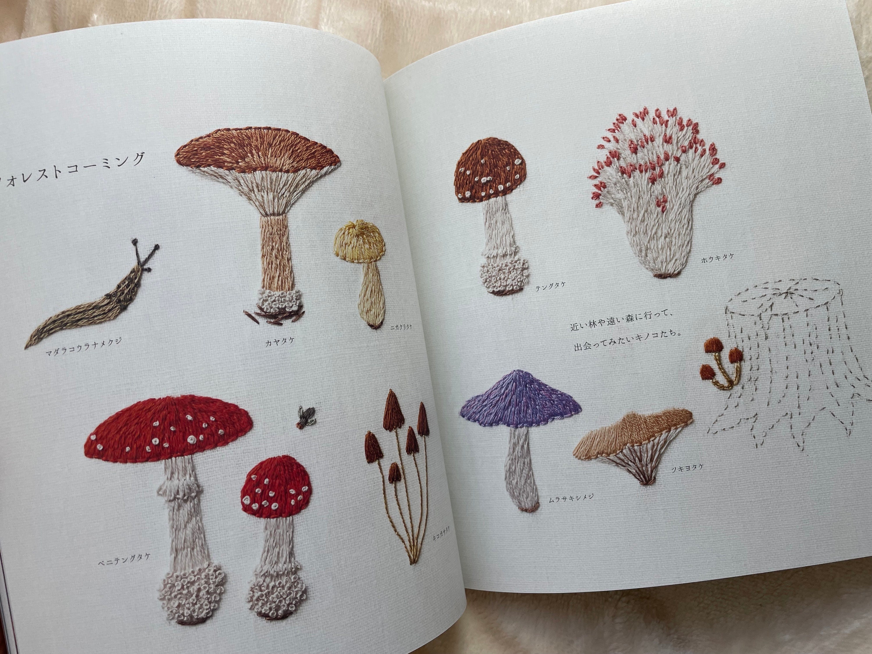 kazuhiro aokiページ Kazuhiro Aoki - Senior Research Scientist at University of Georgia