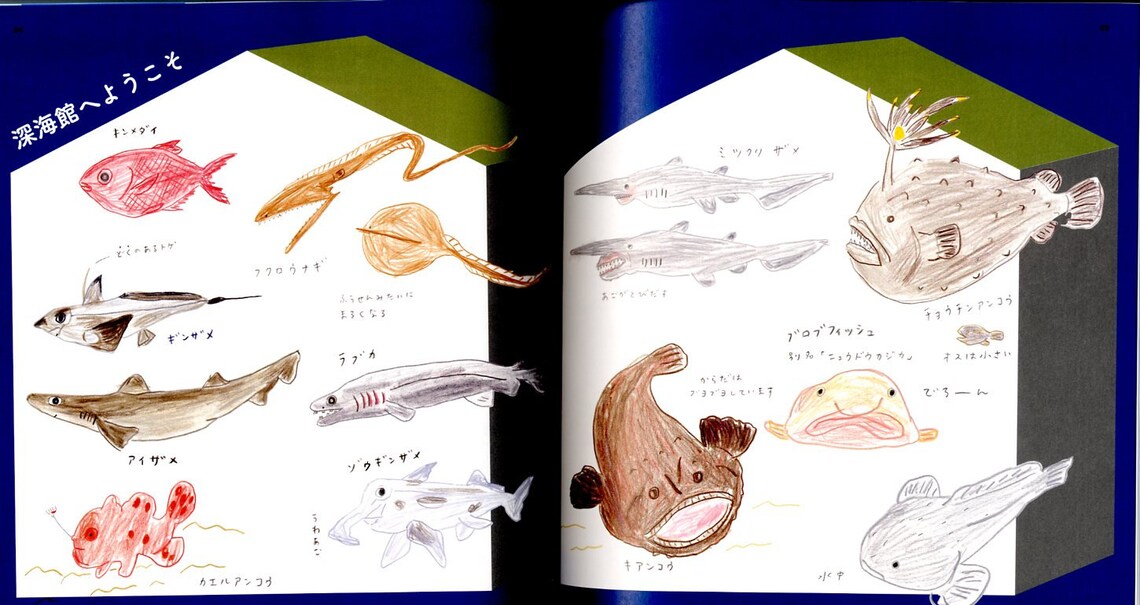 How to Draw Aquarium Animals Illustration Lesson Book - Japanese Craft ...