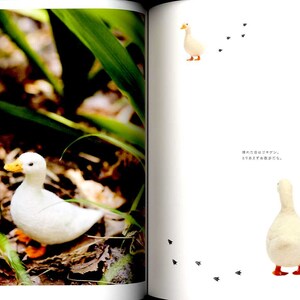 NEEDLE FELT Wool Cute and Realistic Birds Japanese Craft Book image 5