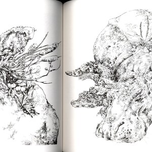 Ken Matsuda Coloring Book Japanese Coloring Book - Etsy