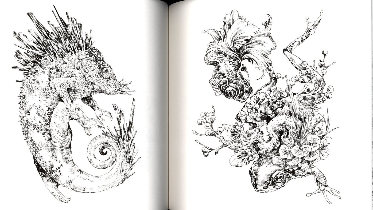 Ken Matsuda Coloring Book Japanese Coloring Book - Etsy Australia