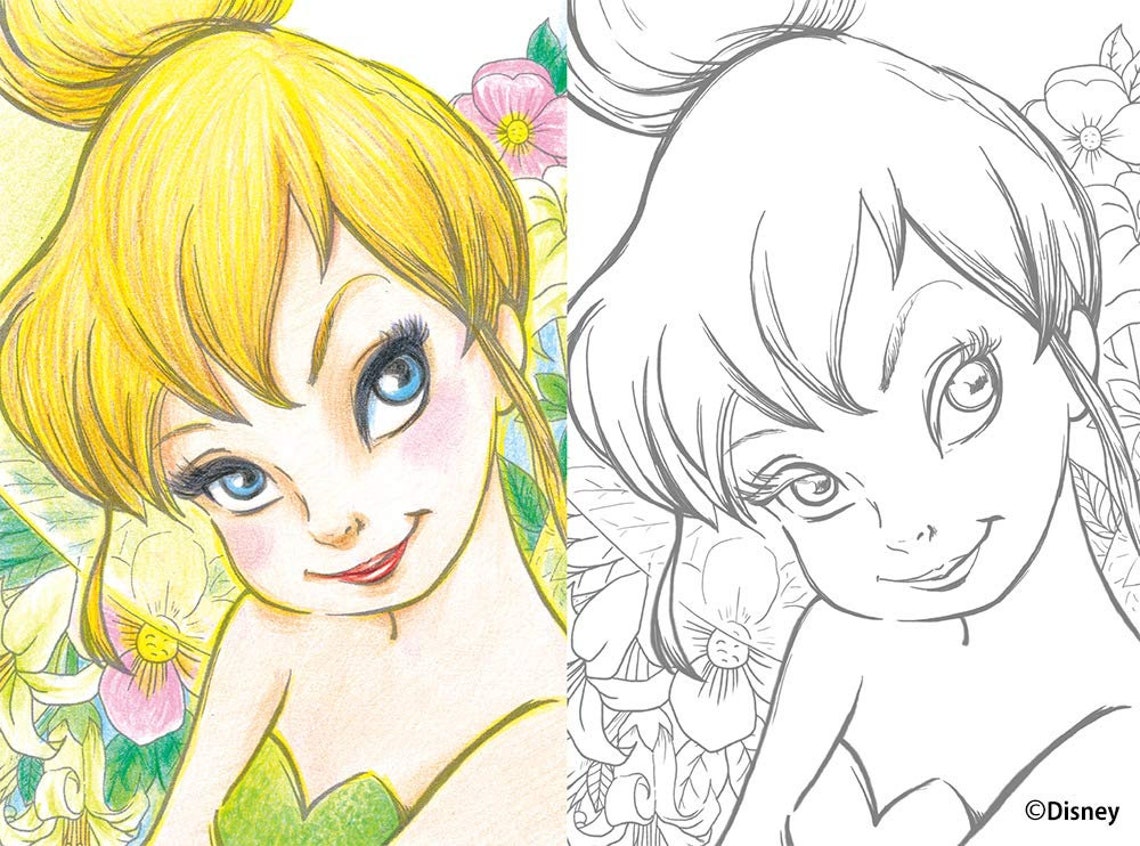 El fantástico libro para colorear de Disney en tamaño postal  Etsy España