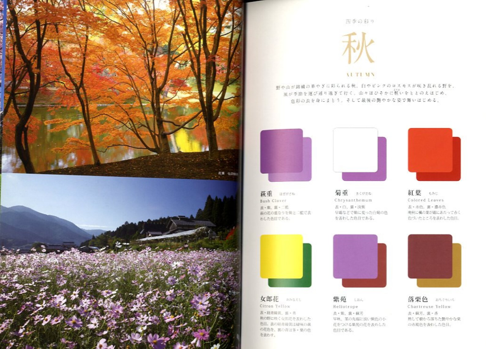Traditional Japanese Color Palette Japanese Color Reference Etsy