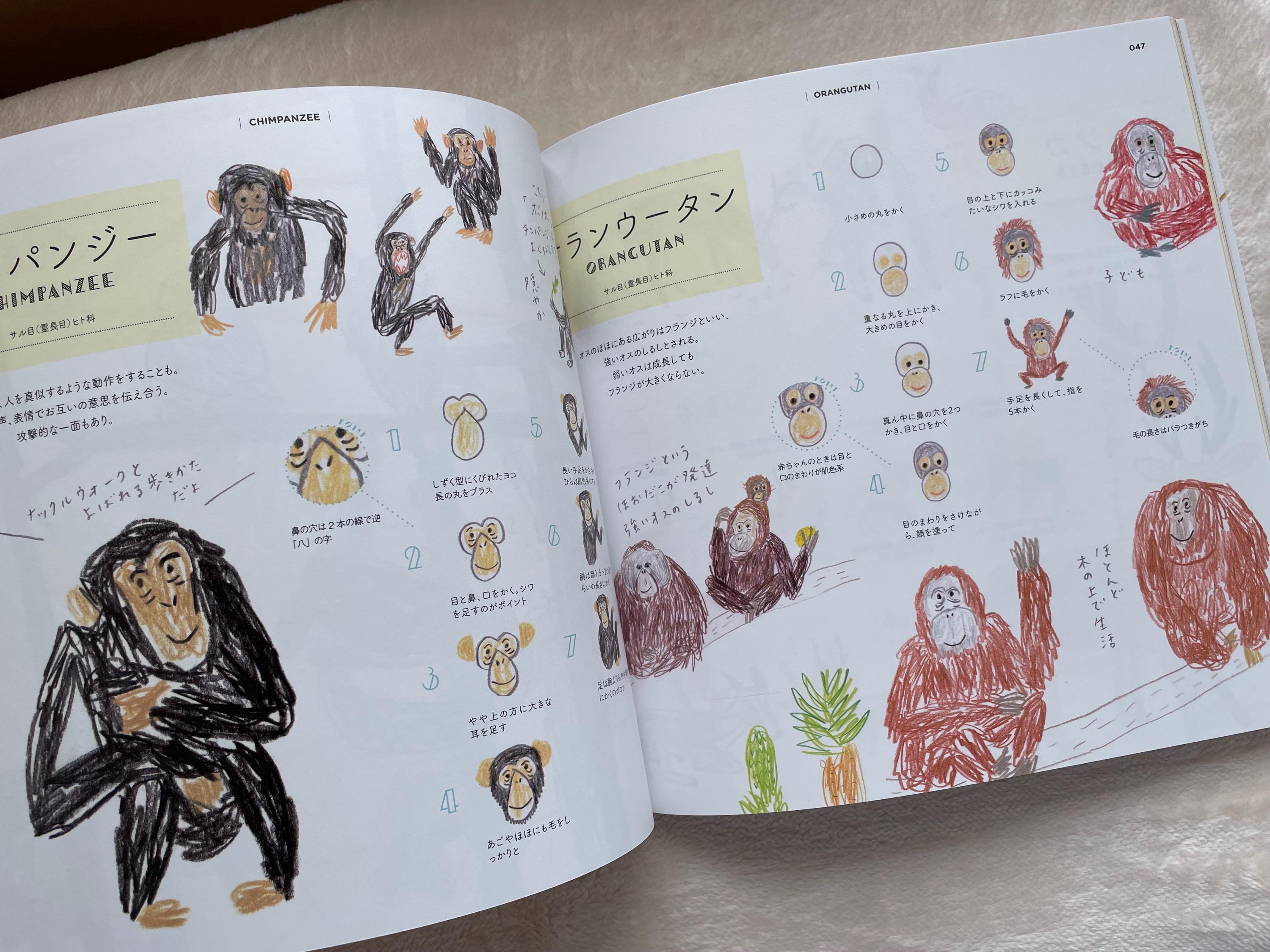 How to Draw Zoo Animals Illustration Lesson Book - Japanese Craft Book ...