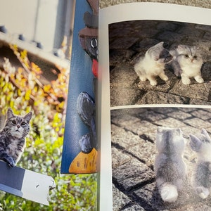 I LOVE to make them mine Needle Felt Realistic KITTENS and CATS Japanese Craft Book image 6