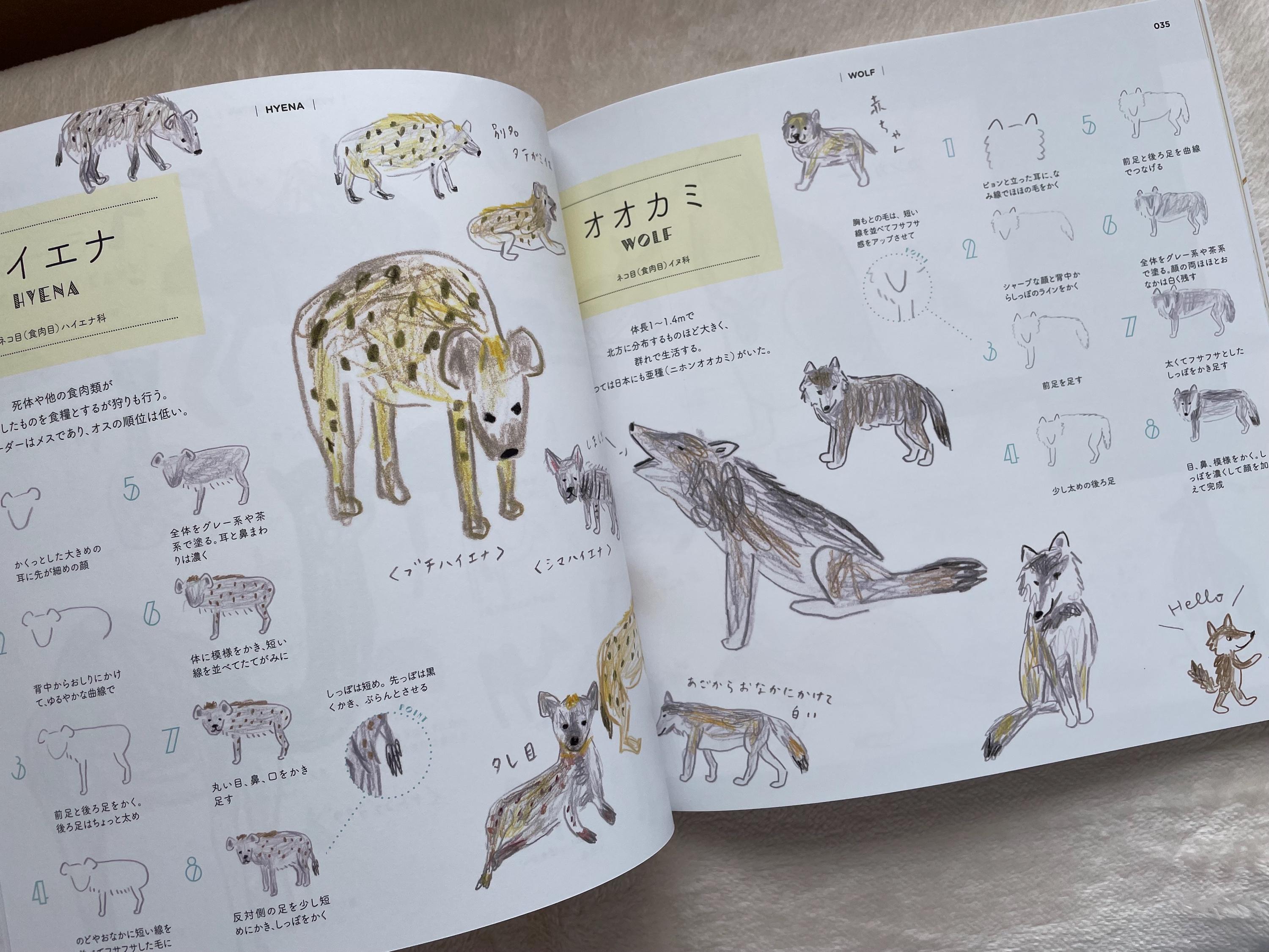 How to Draw Zoo Animals Illustration Lesson Book - Japanese Craft Book ...