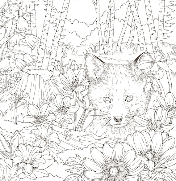 Download Symphony Of Cute Animals Japanese Coloring Book By Kanoko Etsy
