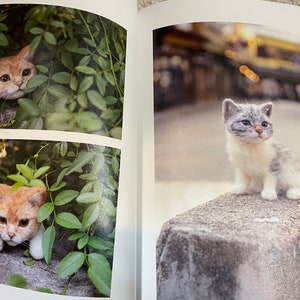 I LOVE to make them mine Needle Felt Realistic KITTENS and CATS Japanese Craft Book image 4