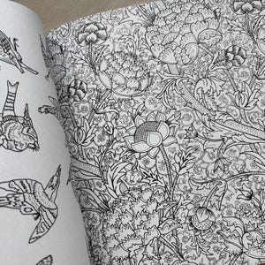 May include: Open coloring book pages featuring detailed black and white illustrations. One page displays various bird drawings, while the other showcases a floral pattern with intricate leaves and flowers. The pages are open, revealing the detailed line art.