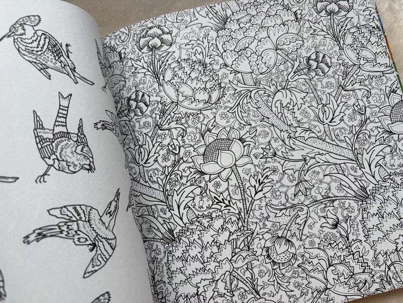 May include: Open coloring book pages featuring detailed black and white illustrations. One page displays various bird drawings, while the other showcases a floral pattern with intricate leaves and flowers. The pages are open, revealing the detailed line art.