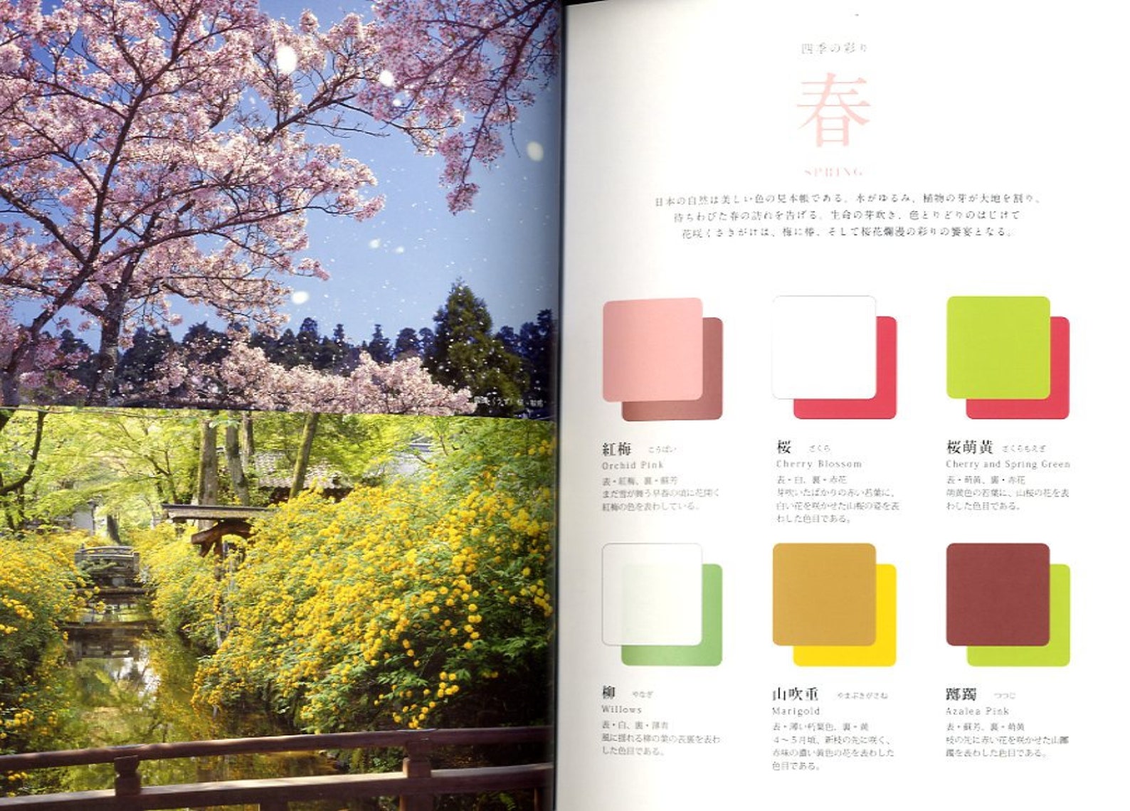 Traditional Japanese Color Palette Japanese Color Reference - Etsy