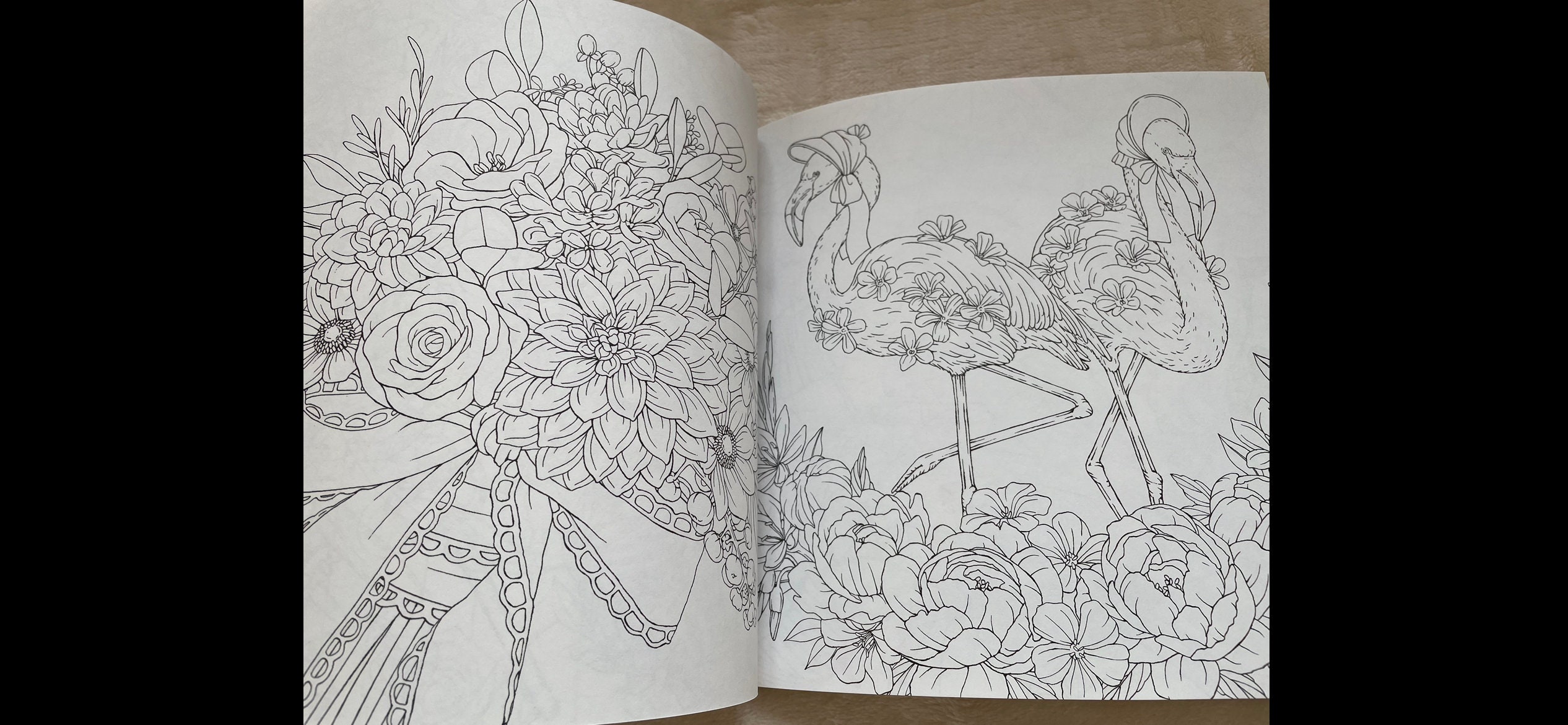 Symphony of Cute Animals: A Curious Coloring Book Adventure [Book]