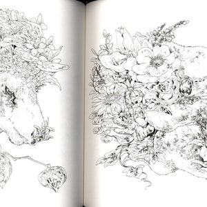 Ken Matsuda Coloring Book Japanese Coloring Book - Etsy Canada