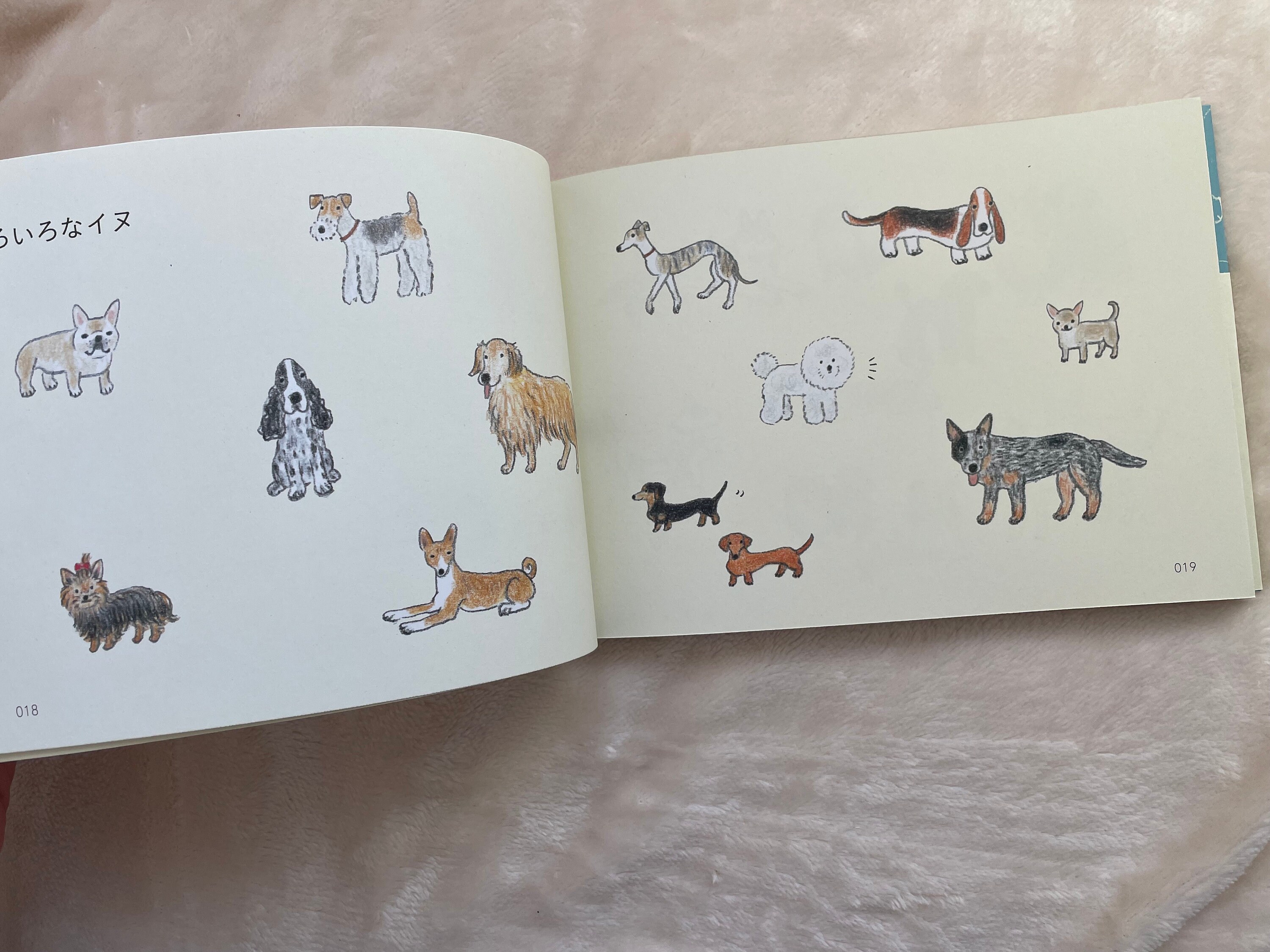 How to Draw Animals Illustration Lesson Book - Japanese Craft Book - Etsy