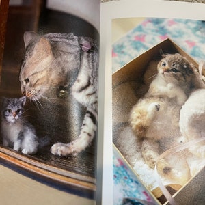 I LOVE to make them mine Needle Felt Realistic KITTENS and CATS Japanese Craft Book image 9